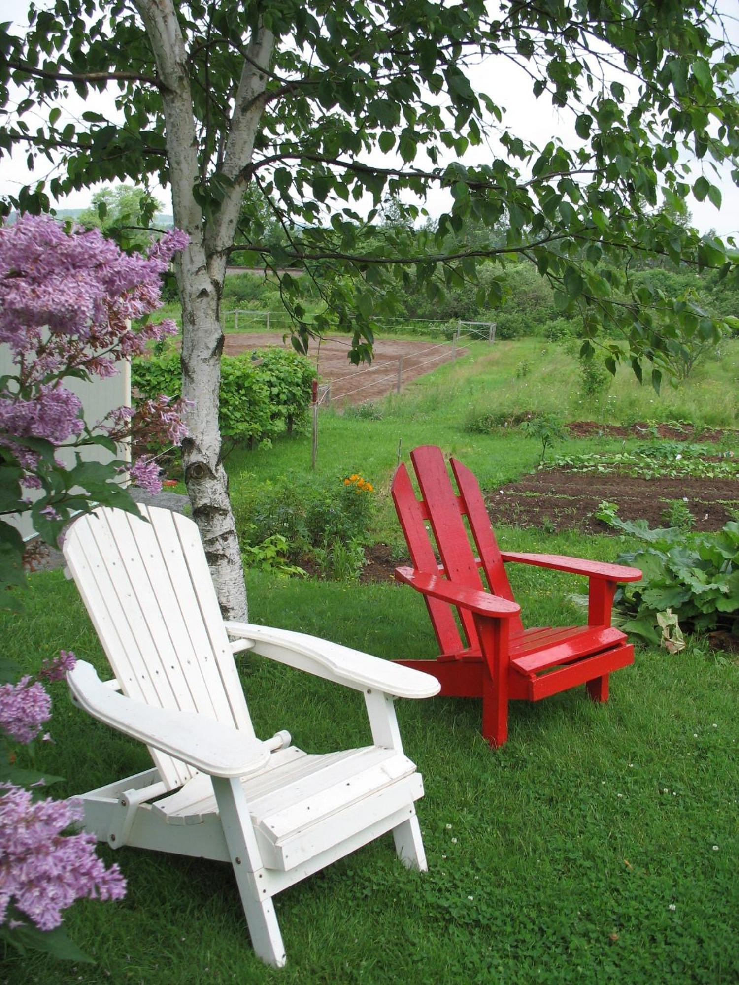 The Nelson House Bed And Breakfast Stewiacke Exteriér fotografie